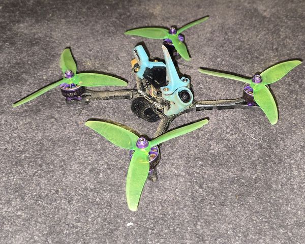 Precious's build